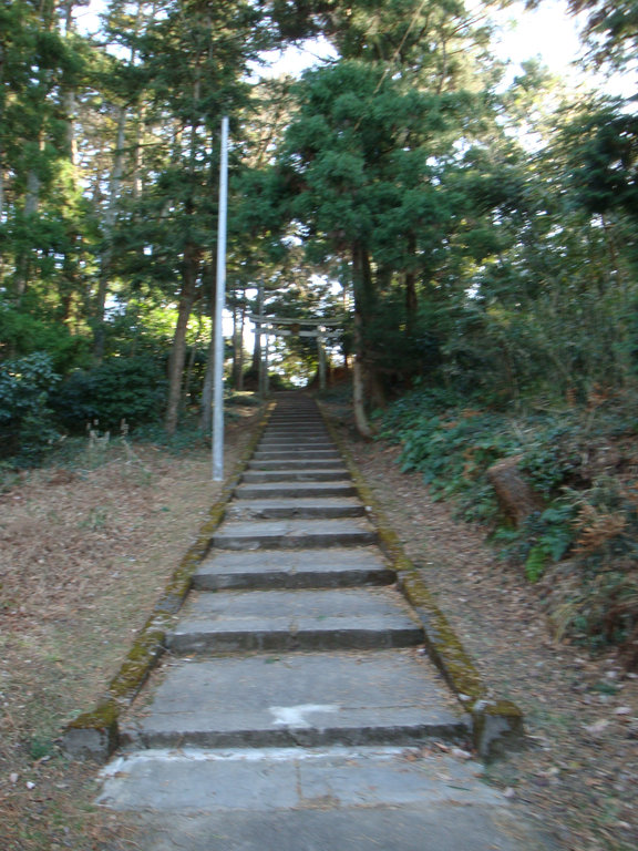 Dsc005111