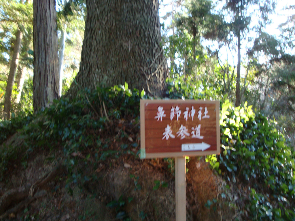 Dsc005131
