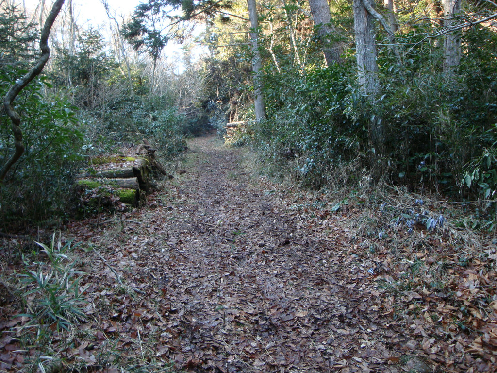 Dsc005221
