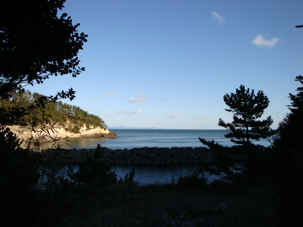 Dsc005251