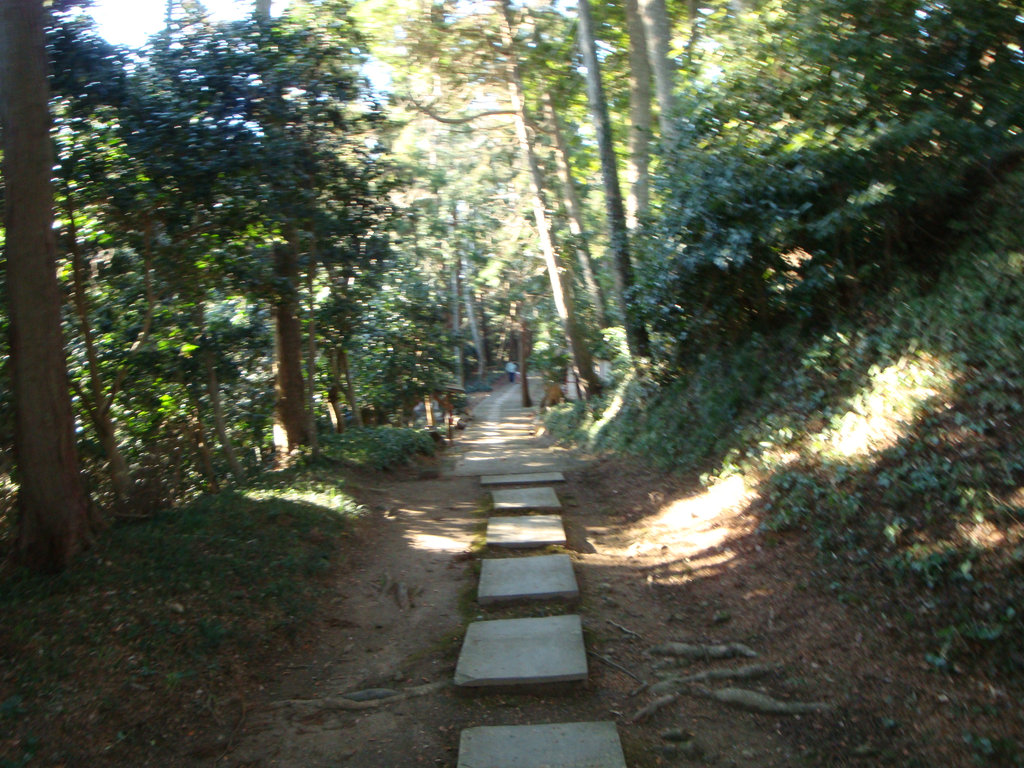 Dsc005341