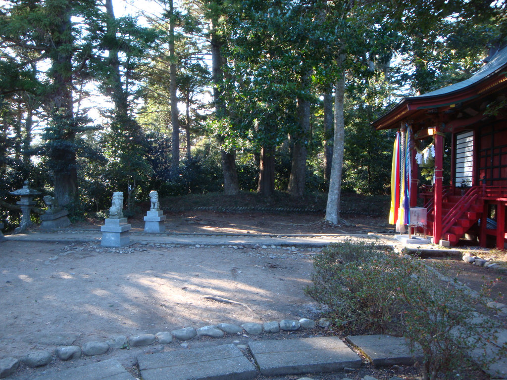 Dsc005371