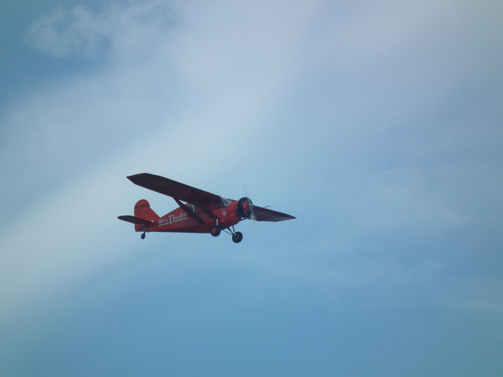 S_dscf1431 S_dscf1431