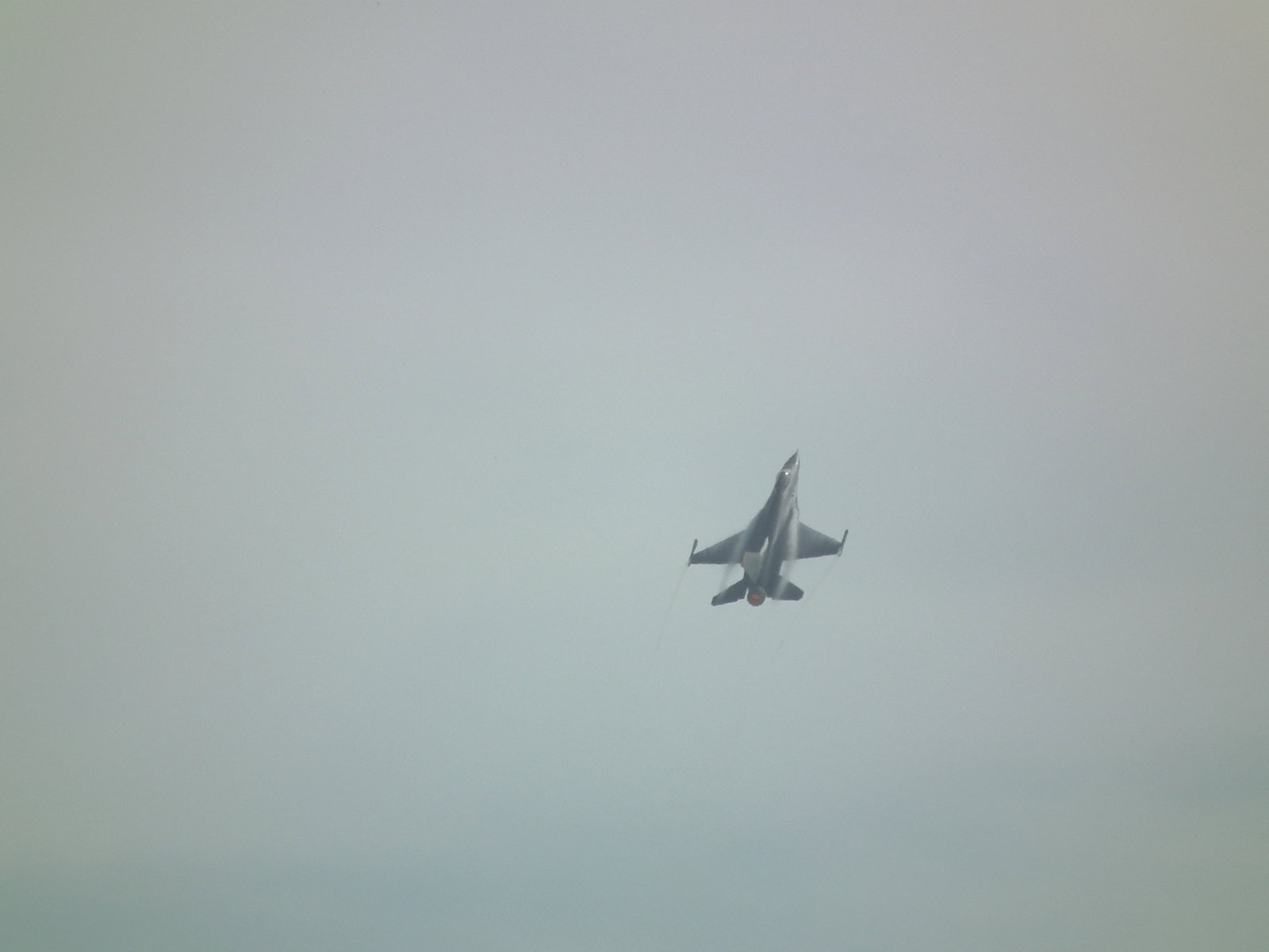 S_dscf1436 S_dscf1436
